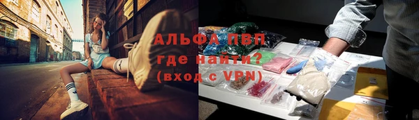 гидра Алексин