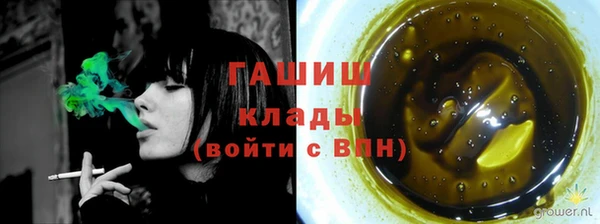 гидра Алексин