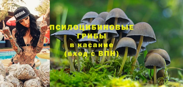 твердый Алзамай