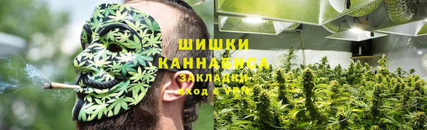 твердый Алзамай