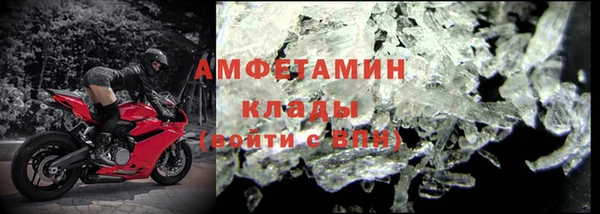 гидра Алексин
