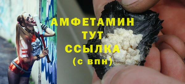 твердый Алзамай