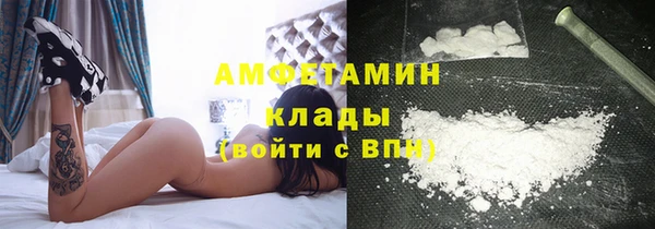 твердый Алзамай