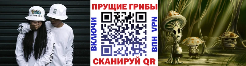 Галлюциногенные грибы прущие грибы  Ухта 